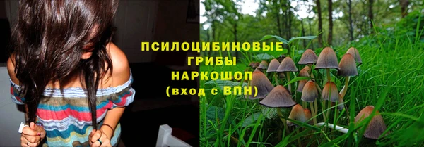 бутират Осташков
